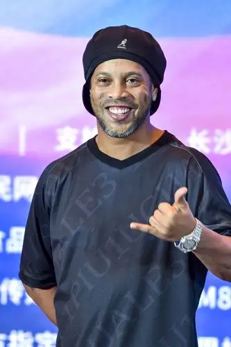 护网内